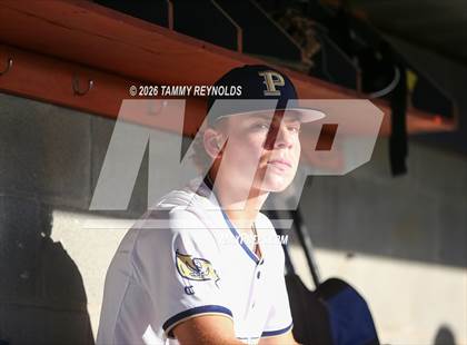Thumbnail 3 in Chico @ Perrin-Whitt photogallery.
