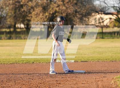 Thumbnail 1 in Chico @ Perrin-Whitt photogallery.