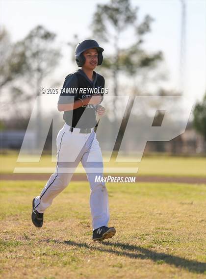 Thumbnail 1 in Chico @ Perrin-Whitt photogallery.