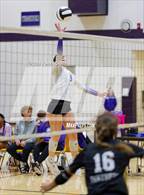 Photo from the gallery "Pioneer vs. Leo (Leo Invite)"