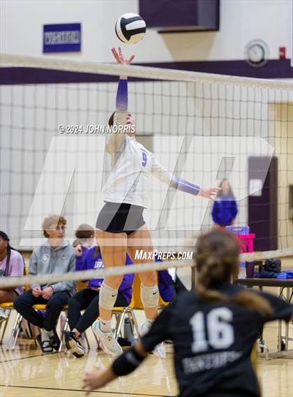 Thumbnail 1 in Pioneer vs. Leo (Leo Invite) photogallery.