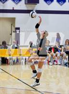 Photo from the gallery "Pioneer vs. Leo (Leo Invite)"