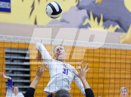Thumbnail 2 in Pioneer vs. Leo (Leo Invite) photogallery.