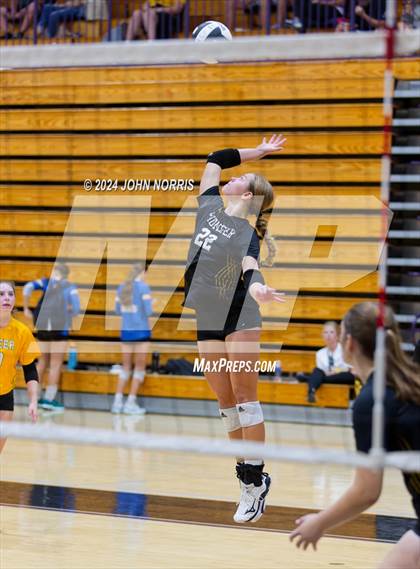 Thumbnail 1 in Pioneer vs. Leo (Leo Invite) photogallery.