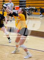 Photo from the gallery "Pioneer vs. Leo (Leo Invite)"