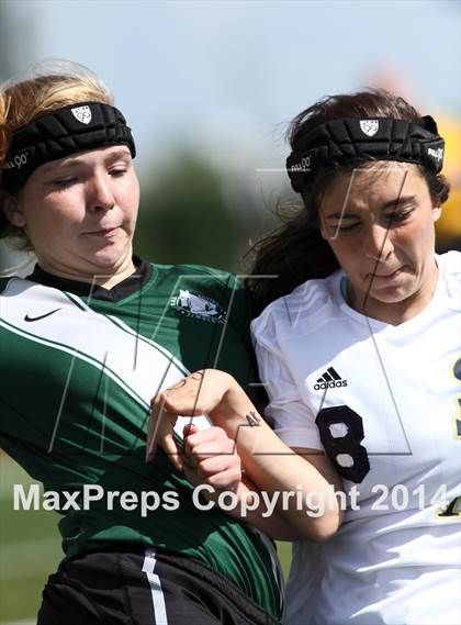 Thumbnail 2 in Aquinas vs Blue Valley Southwest (KSHSAA 5A Final) photogallery.