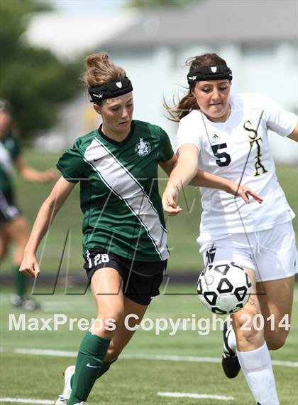 Thumbnail 1 in Aquinas vs Blue Valley Southwest (KSHSAA 5A Final) photogallery.