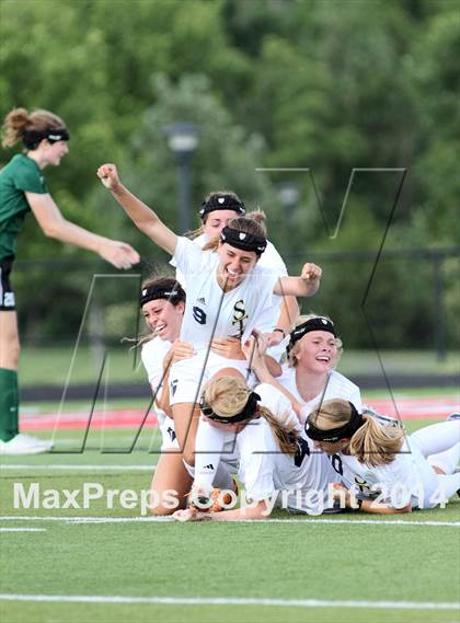 Thumbnail 3 in Aquinas vs Blue Valley Southwest (KSHSAA 5A Final) photogallery.
