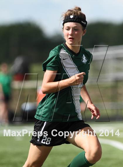Thumbnail 3 in Aquinas vs Blue Valley Southwest (KSHSAA 5A Final) photogallery.