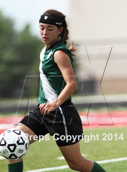 Thumbnail 3 in Aquinas vs Blue Valley Southwest (KSHSAA 5A Final) photogallery.