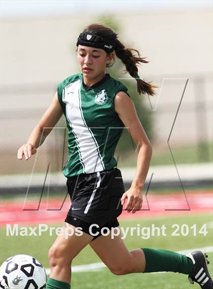 Thumbnail 2 in Aquinas vs Blue Valley Southwest (KSHSAA 5A Final) photogallery.