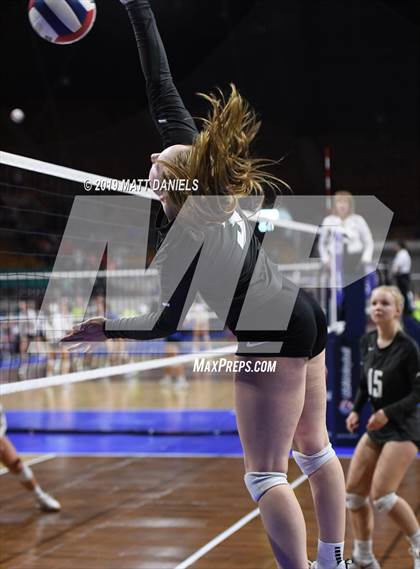 Thumbnail 1 in D'Evelyn vs. Coronado (CHSAA 4A Playoff) photogallery.