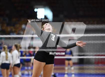 Thumbnail 1 in D'Evelyn vs. Coronado (CHSAA 4A Playoff) photogallery.