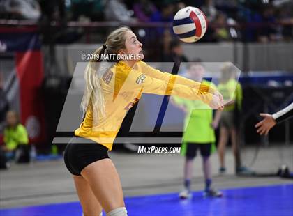Thumbnail 1 in D'Evelyn vs. Coronado (CHSAA 4A Playoff) photogallery.
