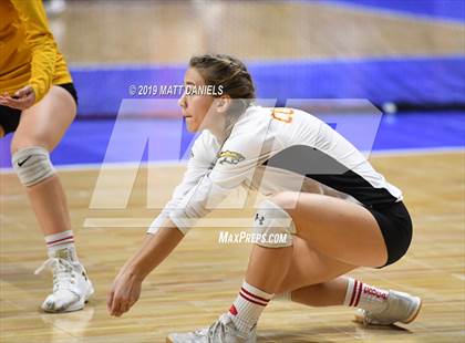 Thumbnail 2 in D'Evelyn vs. Coronado (CHSAA 4A Playoff) photogallery.