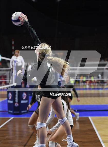 Thumbnail 2 in D'Evelyn vs. Coronado (CHSAA 4A Playoff) photogallery.