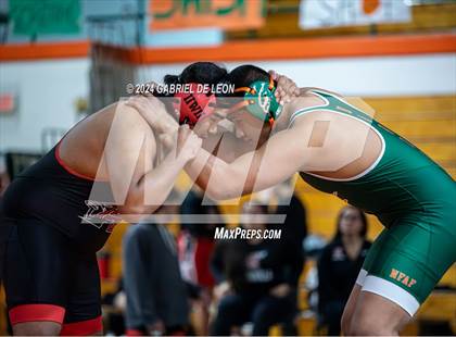 Thumbnail 1 in Harlingen South vs Harlingen photogallery.