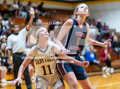 Thumbnail 1 in Terry Sanford @ Cape Fear photogallery.