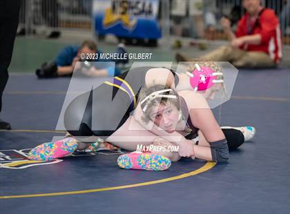 Thumbnail 2 in NYSPHSAA Girls Invitational (Finals) photogallery.