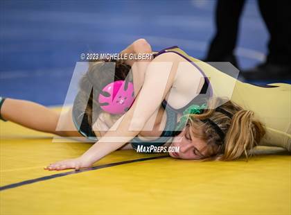 Thumbnail 3 in NYSPHSAA Girls Invitational (Finals) photogallery.