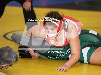 Thumbnail 3 in NYSPHSAA Girls Invitational (Finals) photogallery.