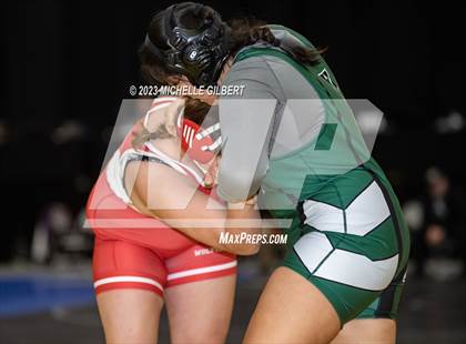 Thumbnail 2 in NYSPHSAA Girls Invitational (Finals) photogallery.