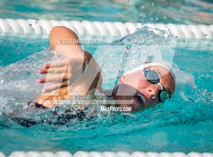 Thumbnail 2 in Desert Vista @ Basha photogallery.