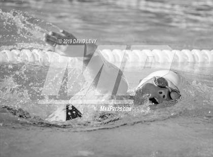 Thumbnail 2 in Desert Vista @ Basha photogallery.