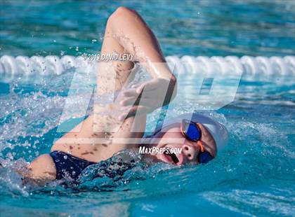 Thumbnail 2 in Desert Vista @ Basha photogallery.