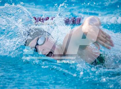 Thumbnail 2 in Desert Vista @ Basha photogallery.