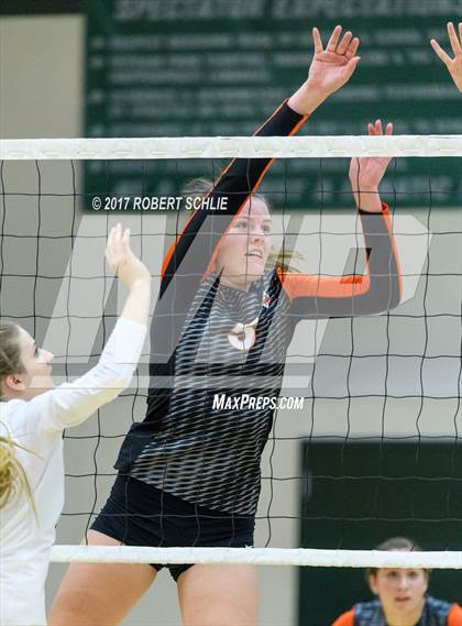 Thumbnail 3 in Roseville @ Ponderosa photogallery.