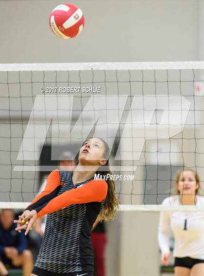 Thumbnail 2 in Roseville @ Ponderosa photogallery.