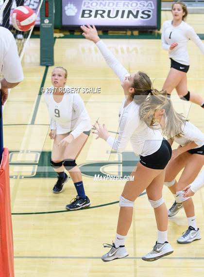 Thumbnail 3 in Roseville @ Ponderosa photogallery.