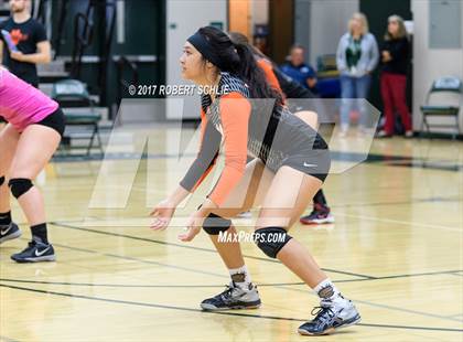 Thumbnail 3 in Roseville @ Ponderosa photogallery.