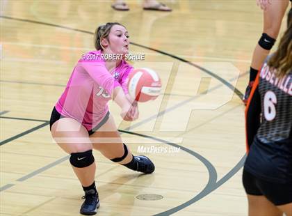 Thumbnail 3 in Roseville @ Ponderosa photogallery.