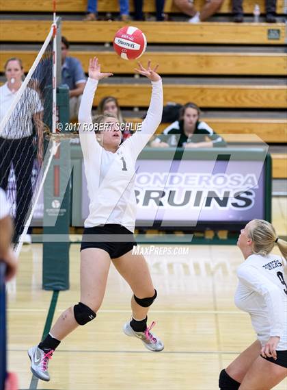 Thumbnail 3 in Roseville @ Ponderosa photogallery.