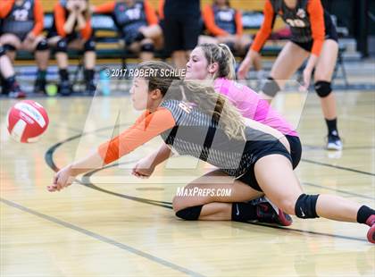 Thumbnail 3 in Roseville @ Ponderosa photogallery.