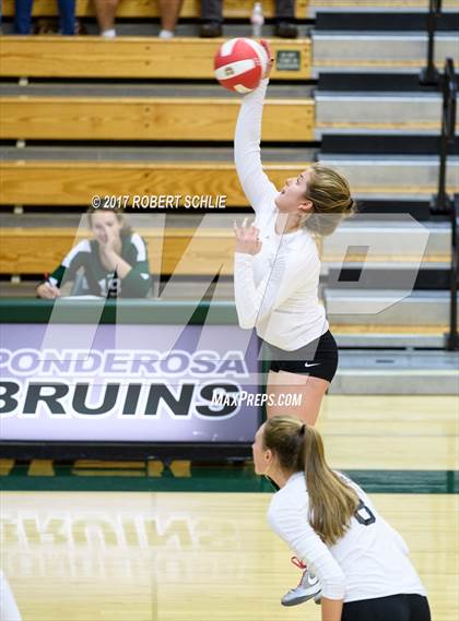 Thumbnail 3 in Roseville @ Ponderosa photogallery.