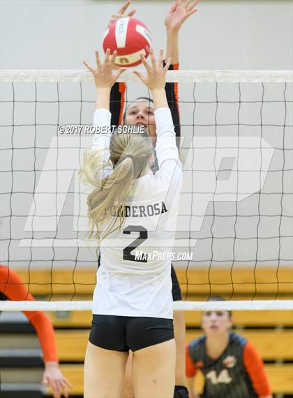 Thumbnail 1 in Roseville @ Ponderosa photogallery.