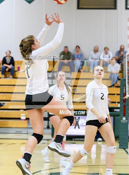 Thumbnail 2 in Roseville @ Ponderosa photogallery.