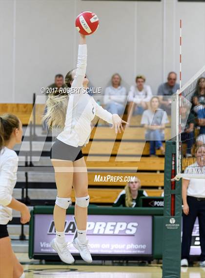 Thumbnail 2 in Roseville @ Ponderosa photogallery.