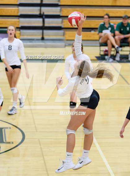 Thumbnail 2 in Roseville @ Ponderosa photogallery.
