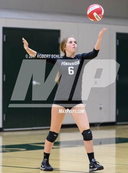 Thumbnail 1 in Roseville @ Ponderosa photogallery.