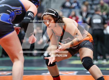 Thumbnail 3 in CHSAA State Championship (4A Session One) photogallery.