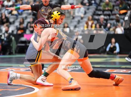 Thumbnail 2 in CHSAA State Championship (4A Session One) photogallery.
