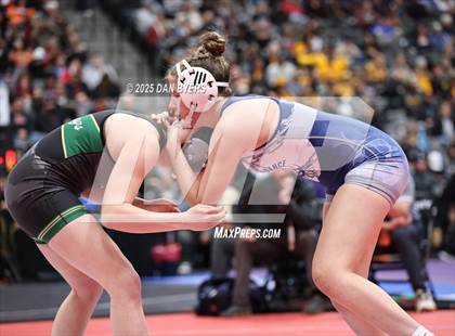 Thumbnail 3 in CHSAA State Championship (4A Session One) photogallery.