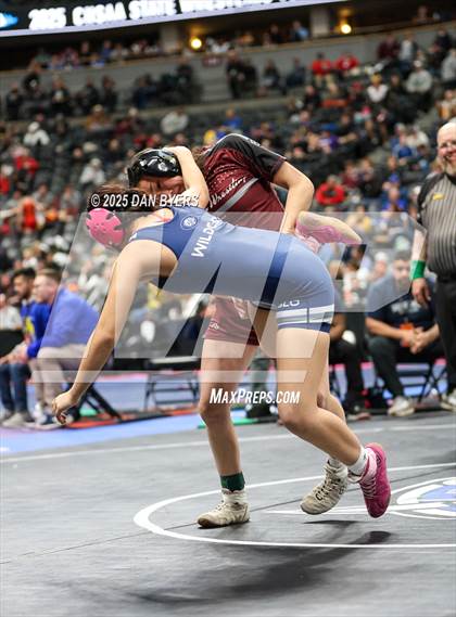 Thumbnail 1 in CHSAA State Championship (4A Session One) photogallery.