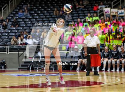 Thumbnail 3 in Crawford vs. Iola (UIL 2A Volleyball Final) photogallery.