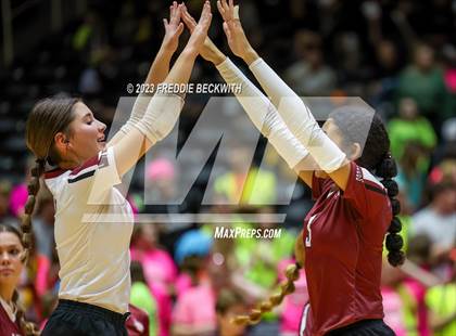 Thumbnail 3 in Crawford vs. Iola (UIL 2A Volleyball Final) photogallery.