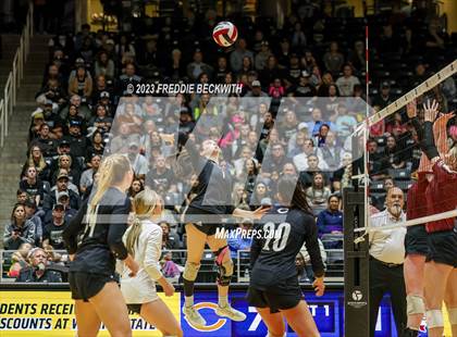 Thumbnail 1 in Crawford vs. Iola (UIL 2A Volleyball Final) photogallery.